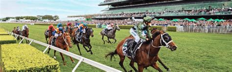 sydney spring racing carnival